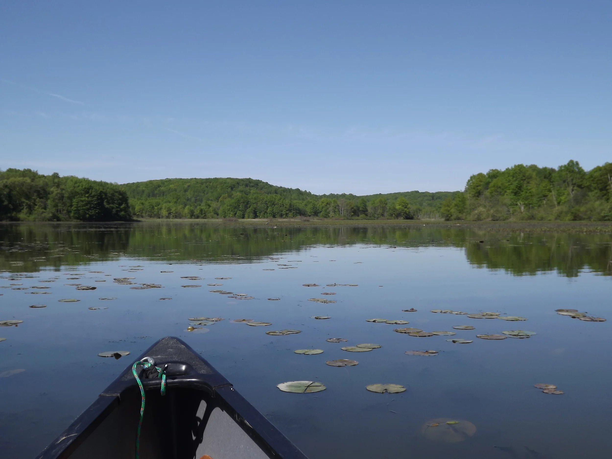 Muddy Creek Paddle on Lake Arthur — Natural Sewickley
