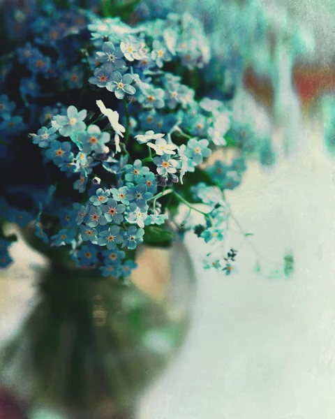Forget-Me-Not.jpg
