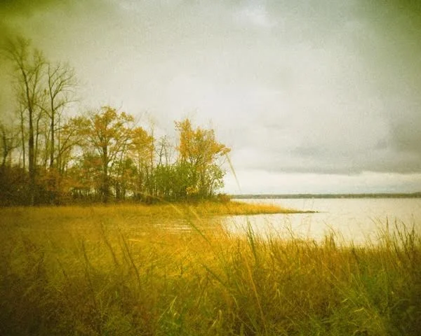 Storm Coming