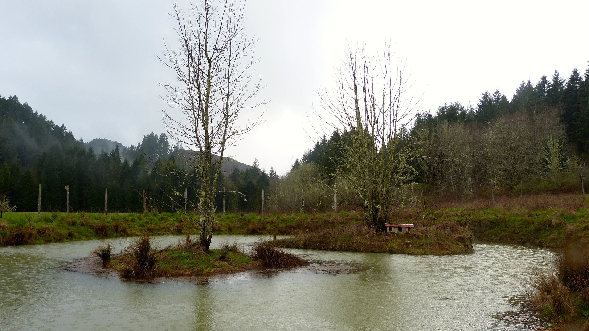 P1070669.jpg