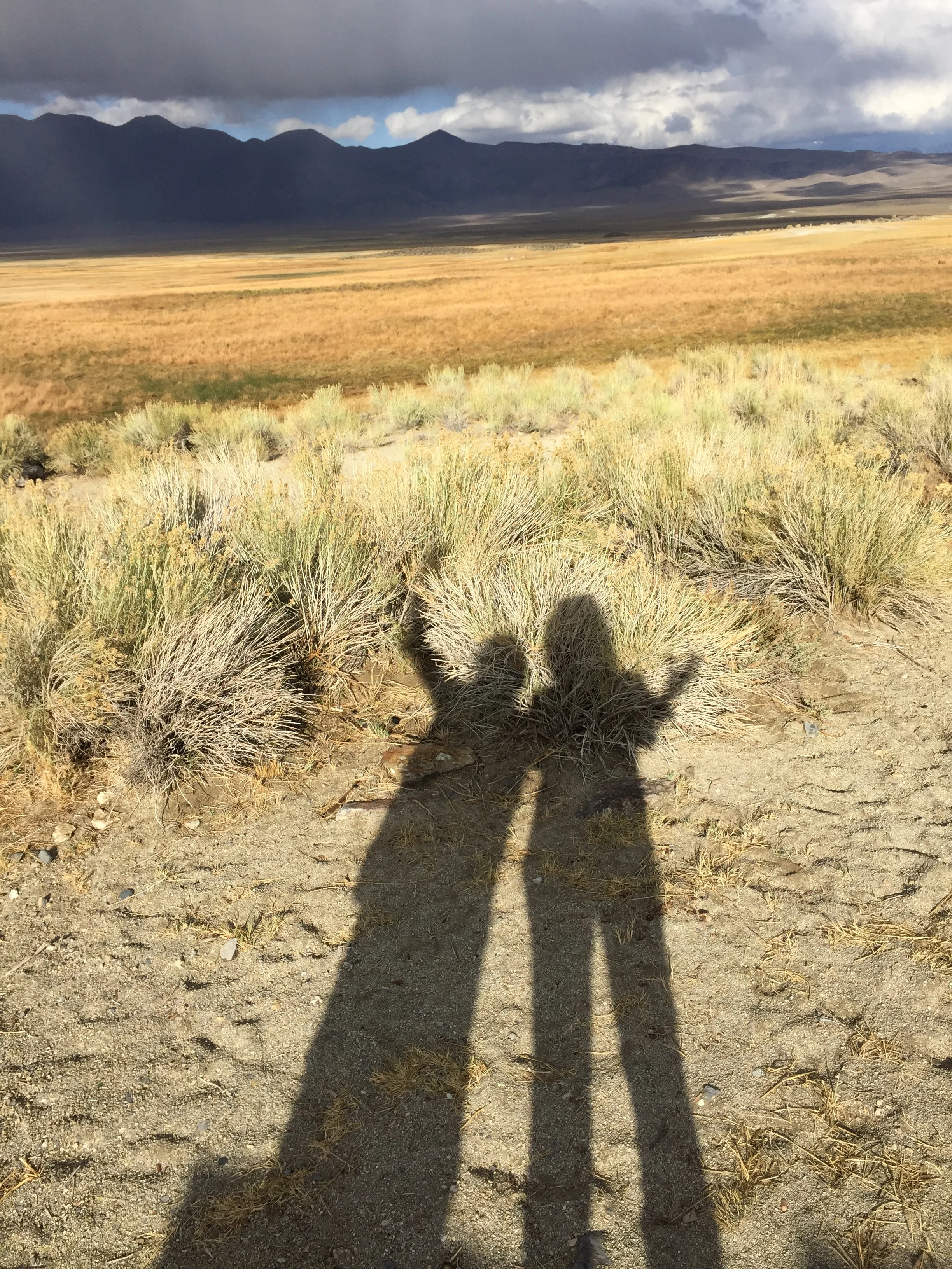 Daniel Johnston died