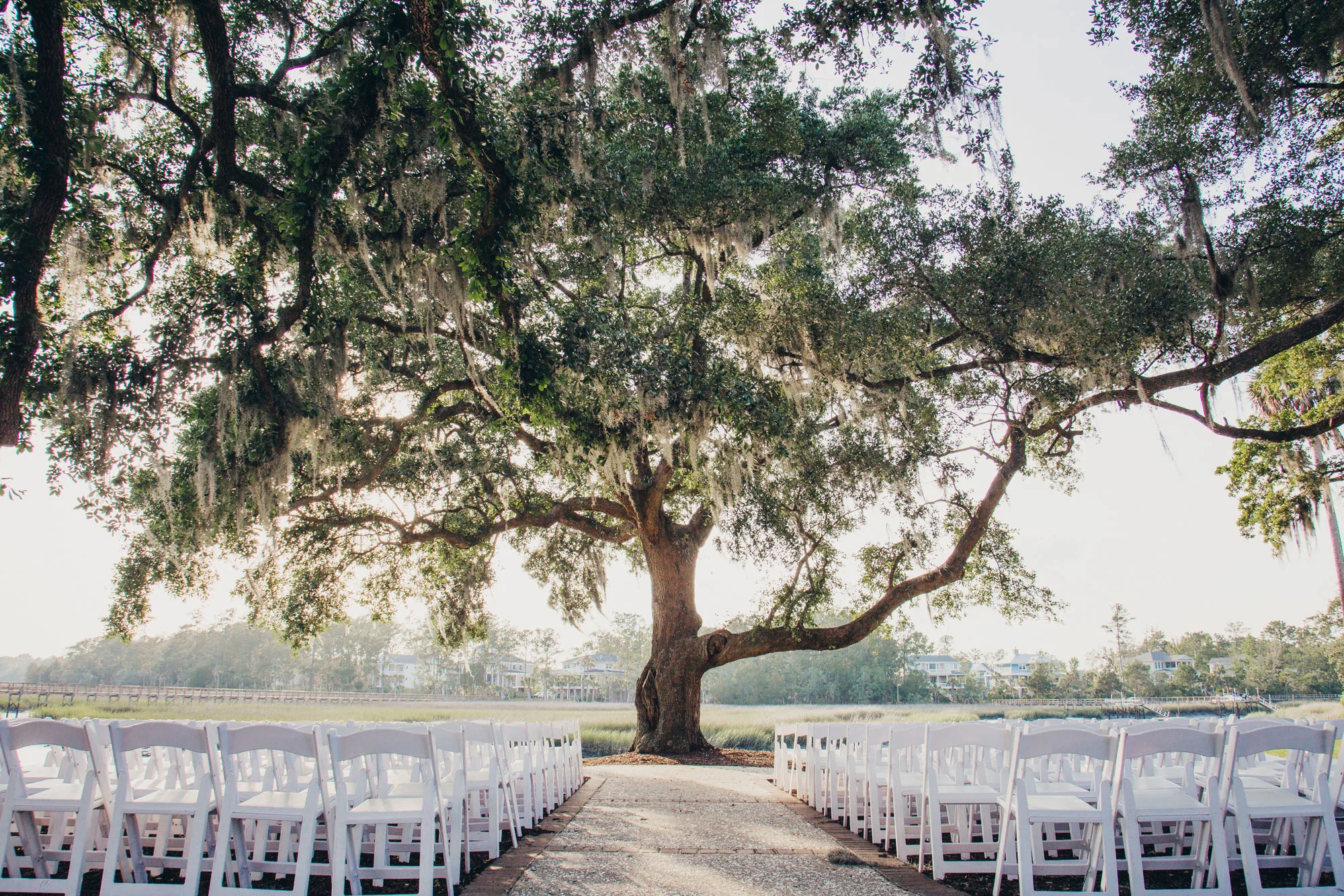 NaylorWedding_45.jpg