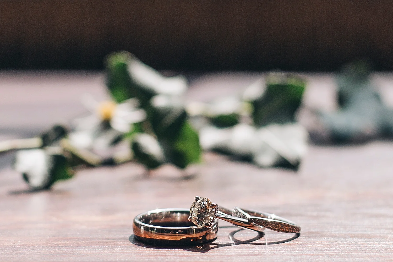 ridleycreekstateparkwedding_75.jpg