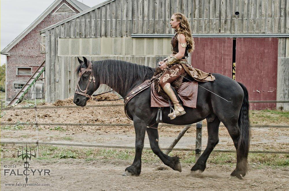 Getting Douwe warmed up and used to his new bridle and breastcollar made by El Sueno Espanol.