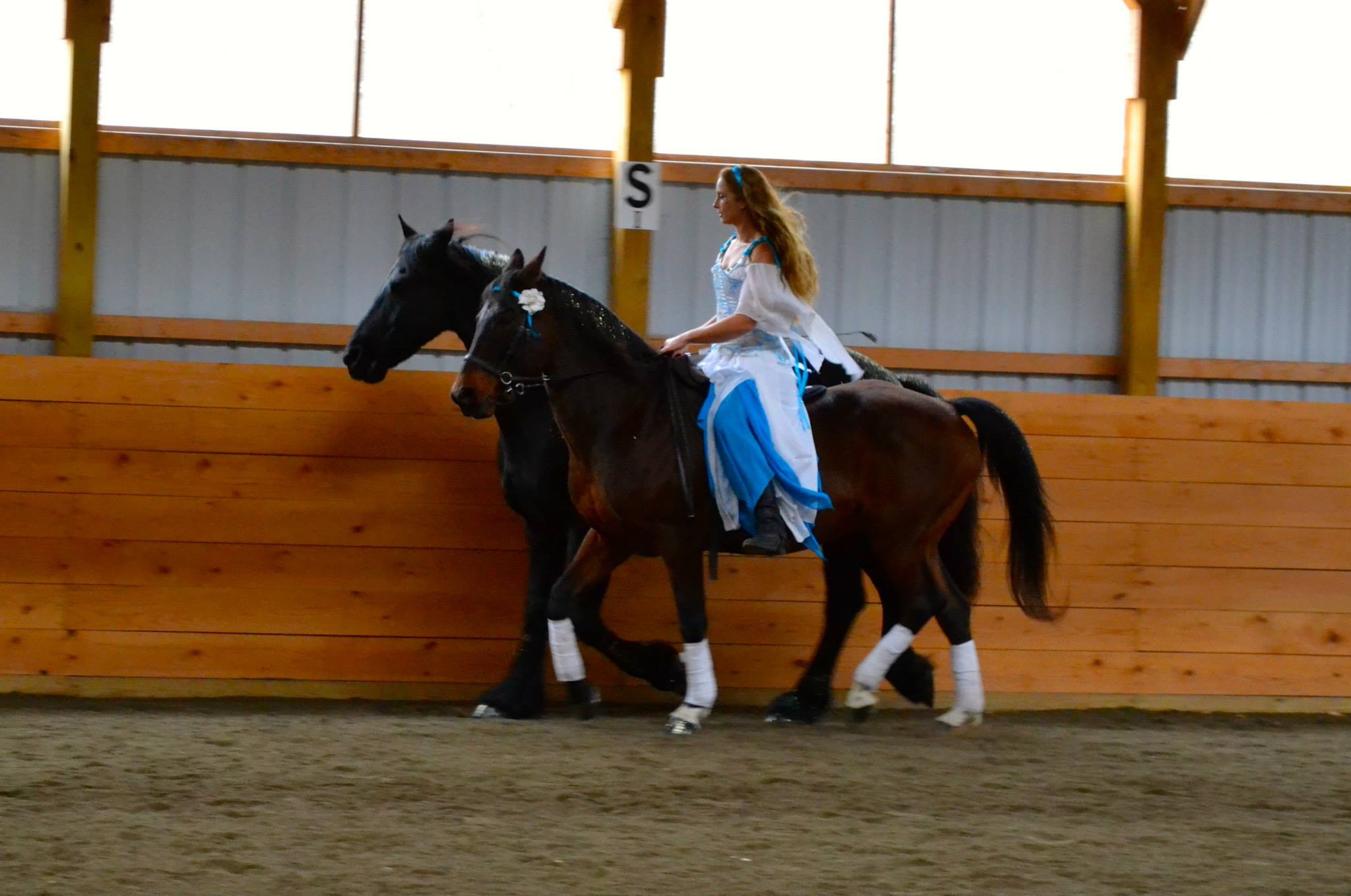 Douwe and Rovandio working together in their routine. Douwe was a little lazy for the canterwork but they had some nice transitions together. See the video at the bottom. Photo taken by Laurie Harvey's assistant Kaitlyn.