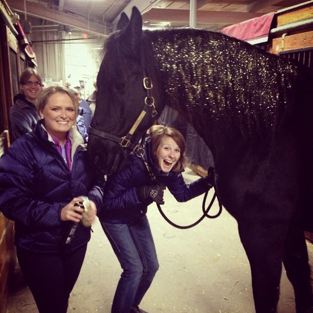 Having way too much fun at the Equine Affaire! Elisha Harvey and Hannah French were my assistants/grooms for the event and they made a great glitter team! Here you can see how much glitter they put in Douwe's mane!