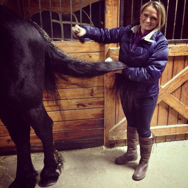 Elisha Harvey is one of Douwe's glitter grooms! Here she is adding more hairspray to his tail to help hold the glitter in....you can also see that she put glitter on his feathers!