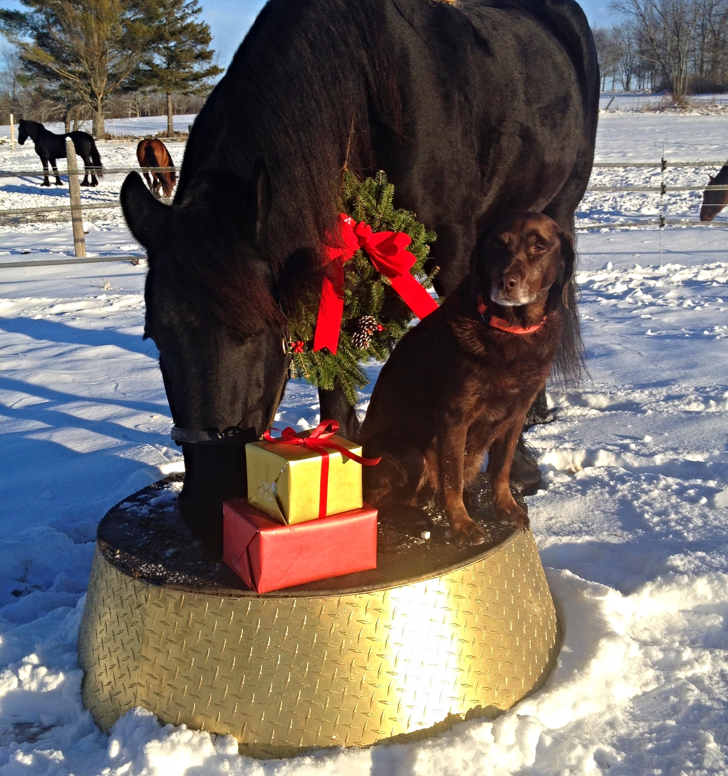Douwe and Sera posing with the pedestal.