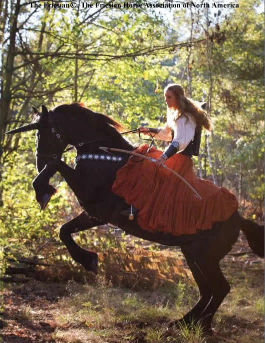Friesian4.jpg