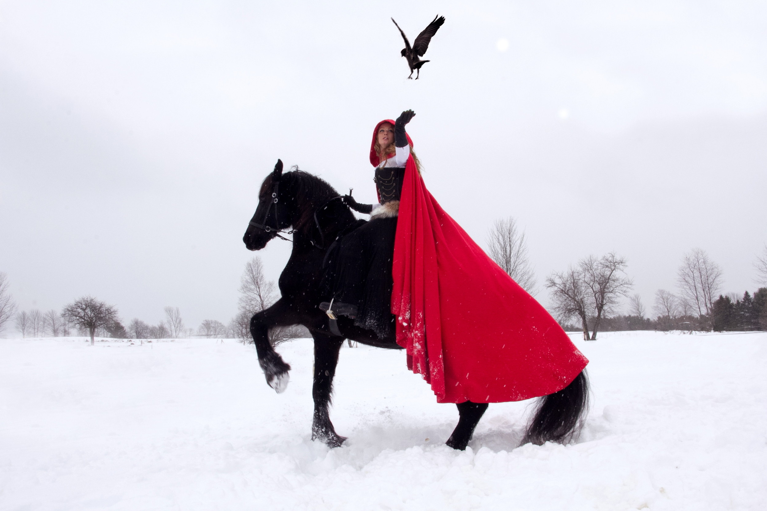 Photograph taken by Lydia Rose Spencer