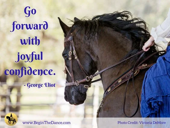 Follow Douwe the amazing friesian on facebook. click here