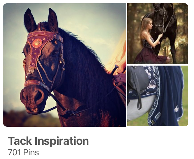 Tack Inspiration for Horses on Pinterest