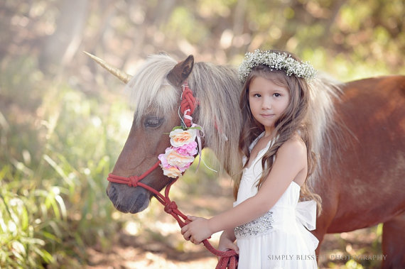 Super Awwwsome Unicorn Horns