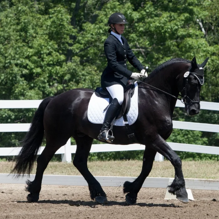 Watch our "Outlander" inspired first level freestyle... photo credit: spotted vision photography