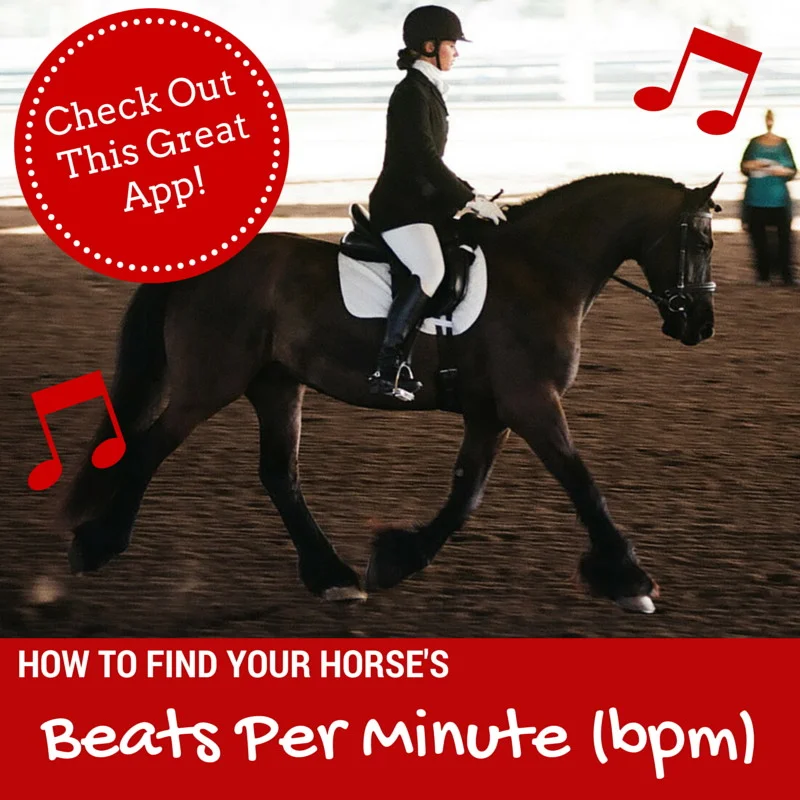 Learn how to create a dressage musical freestyle. Click here.