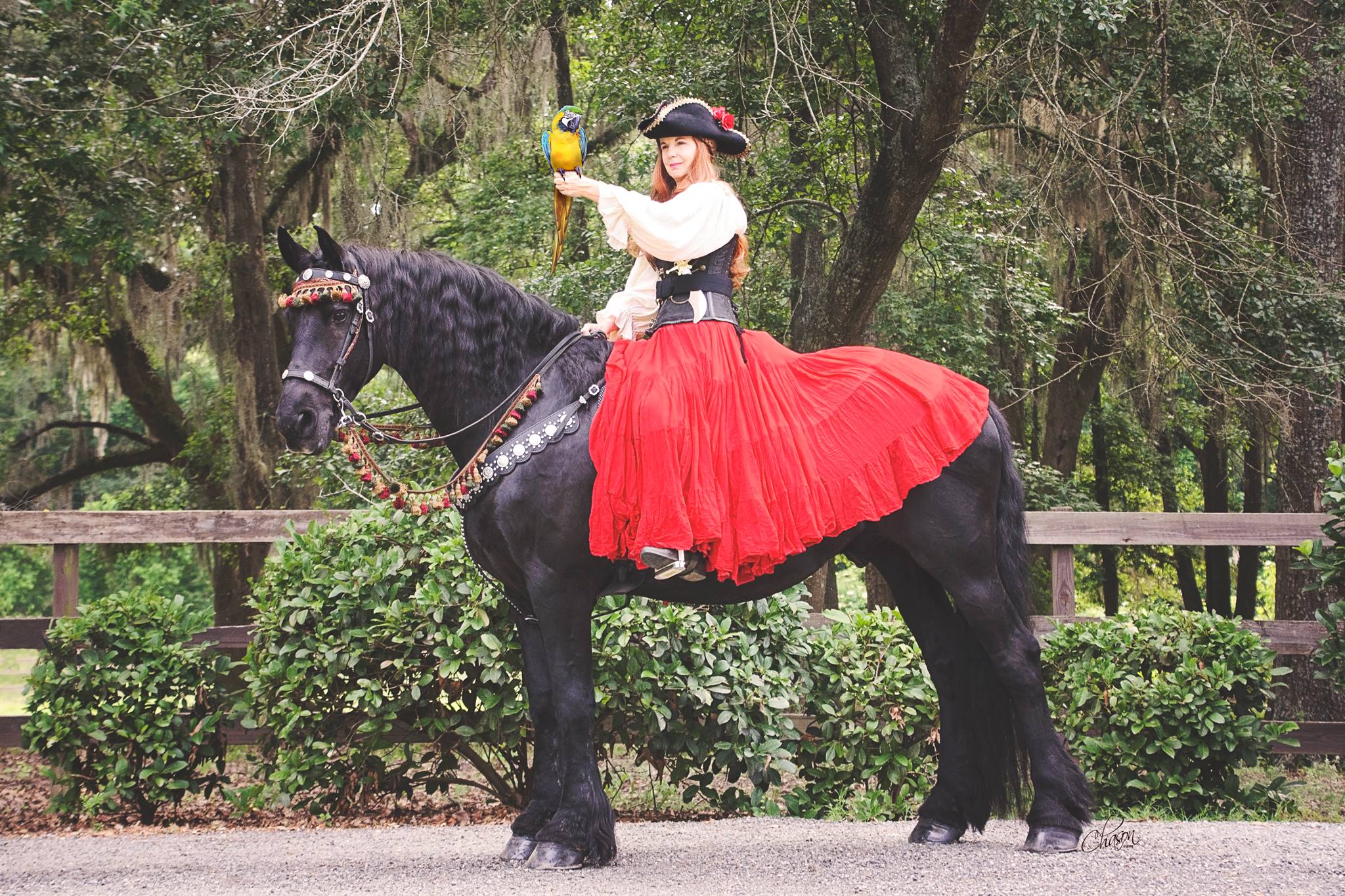Pirate Photo Shoot with Angela