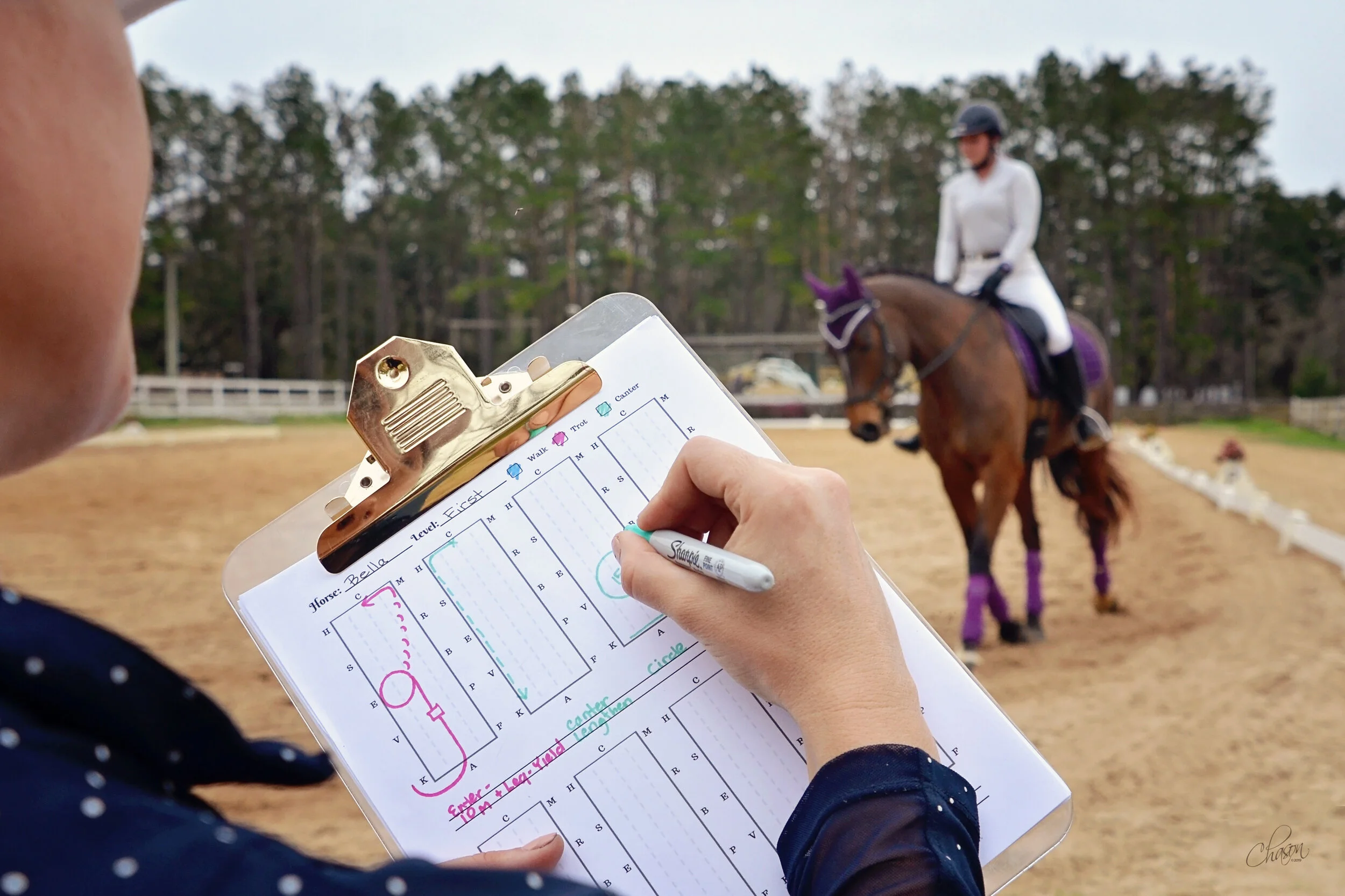 13 Dressage Freestyle Choreography Secrets That Can Improve Your Score 