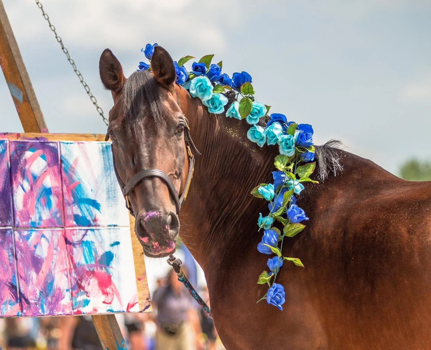 Happy Birthday Rovandio! 🥳🎉😘 This handsome boy is 21 years old and living his best life. 💙 He was a superstar at @breyerfest2022 and deserves all the admiration and love the world can give to him. Every single person that met him recognized how k