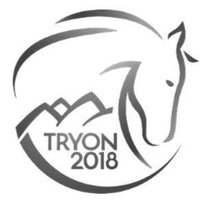 fei-world-equestrian-games-Tryon-2018-logo.jpg