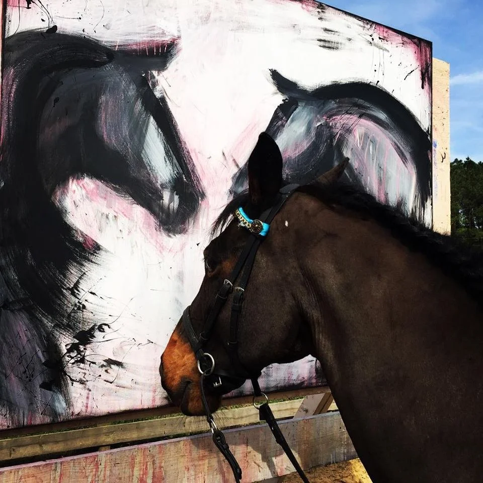 Equus Amore with Rovy.jpg