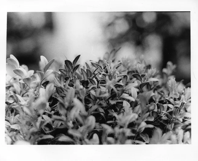 Connor Strachan, class of 2014