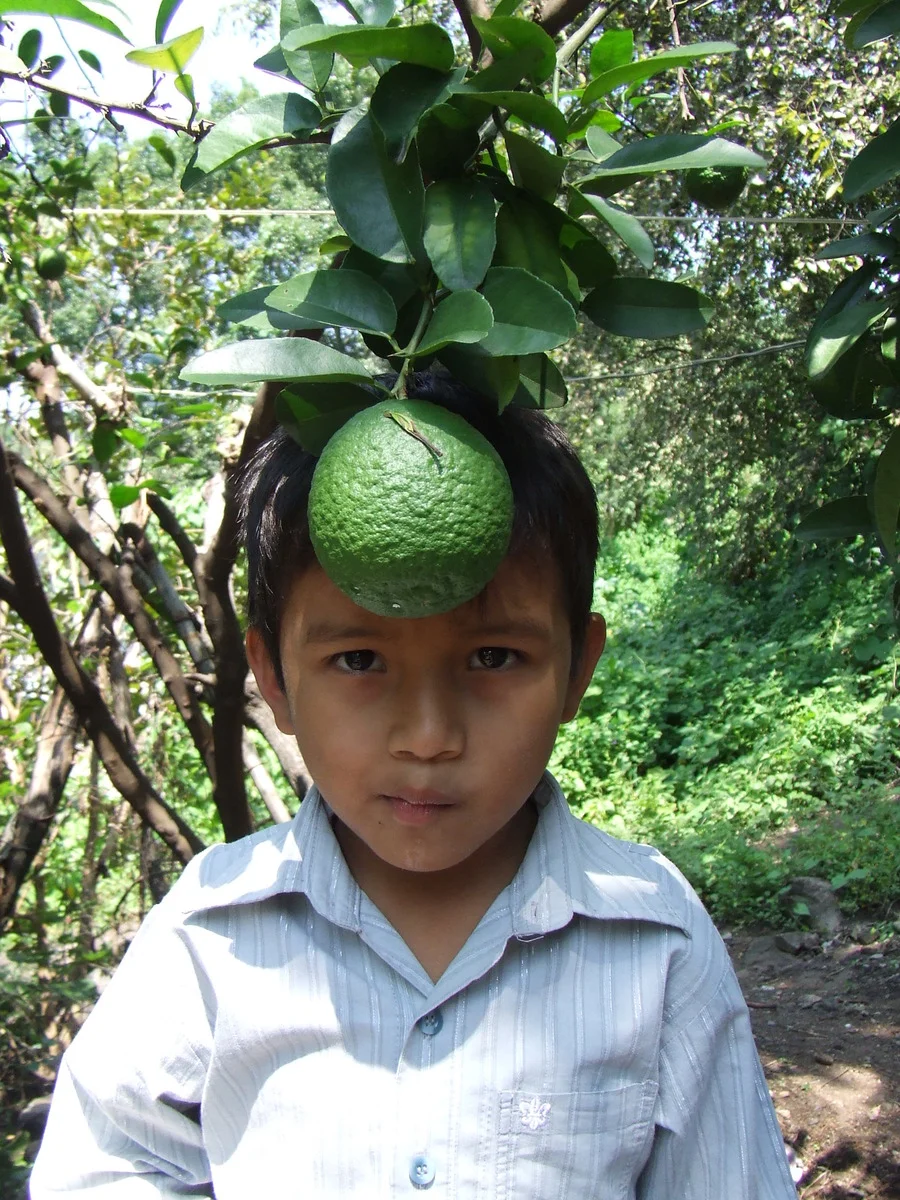 Piensa Verde -Carlos Ocampo Valdez