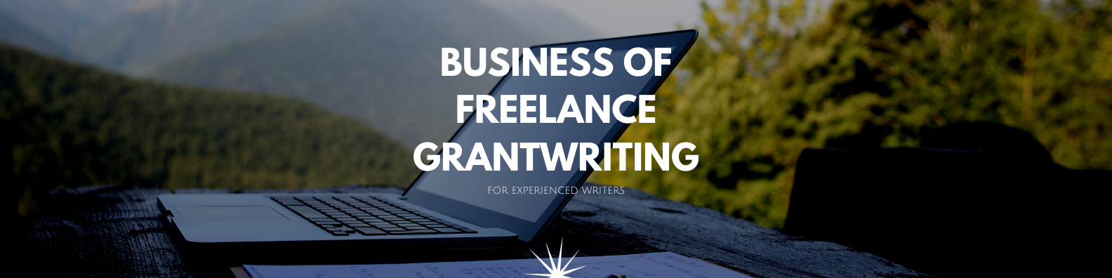 The Business of Freelance Grantwriting