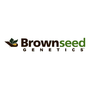 Video production client Brownseed Genetics