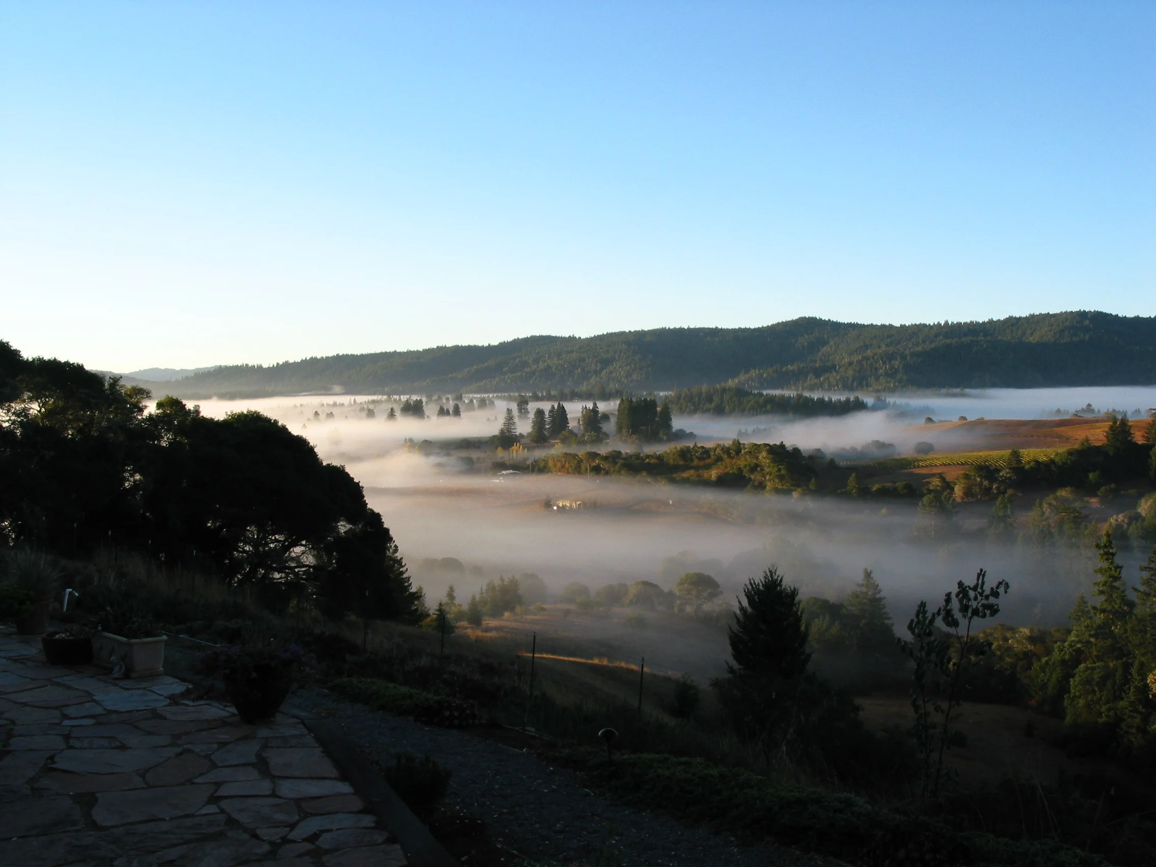 View of Anderson Valley from Lazy Creek Vineyards - Photo Courtesy Anderson Valley Winegrowers Association