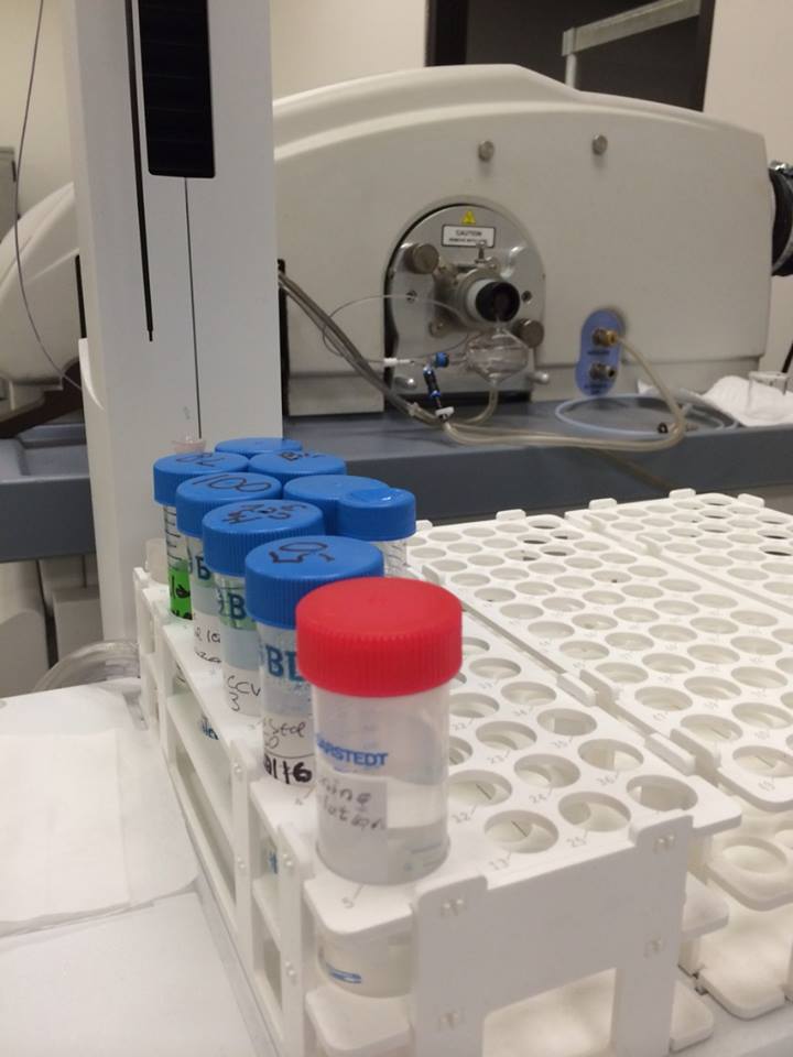 LabPhoto2.jpg