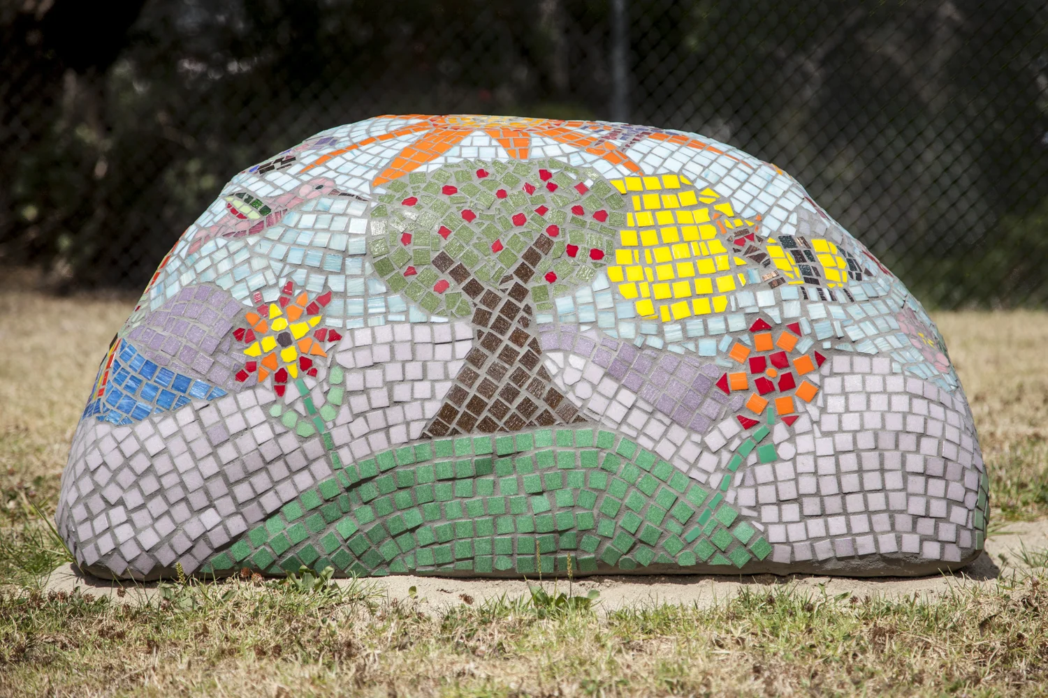 McKinley school boulder