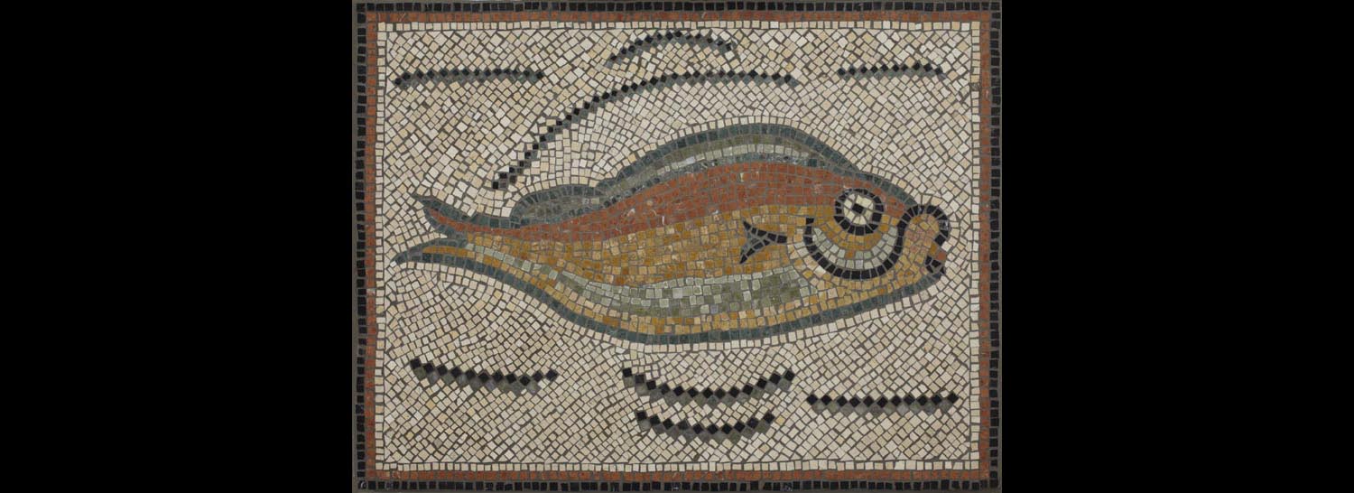 Roman Tunisian Fish