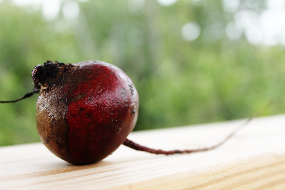 Local Beet