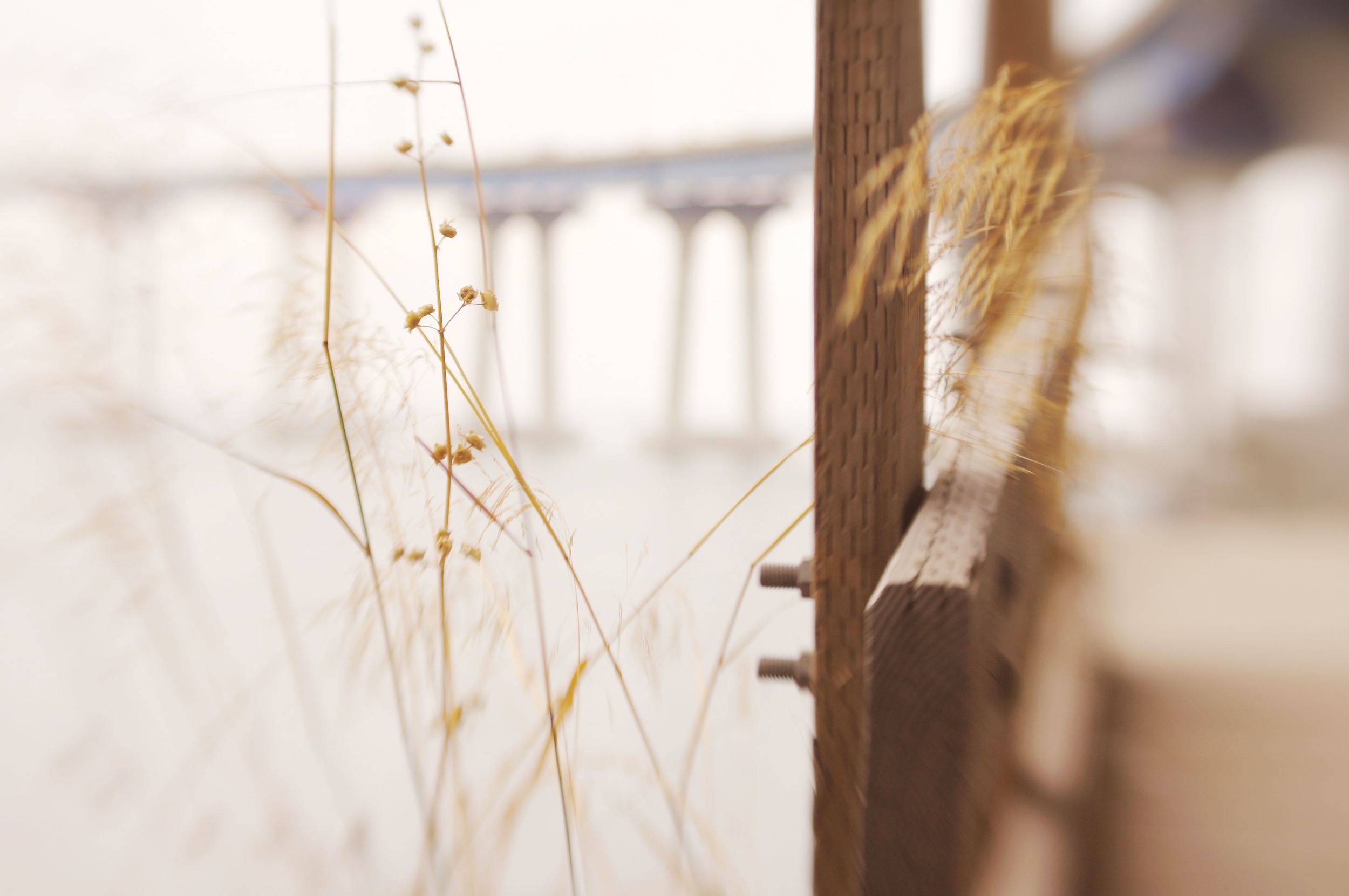 Bridging