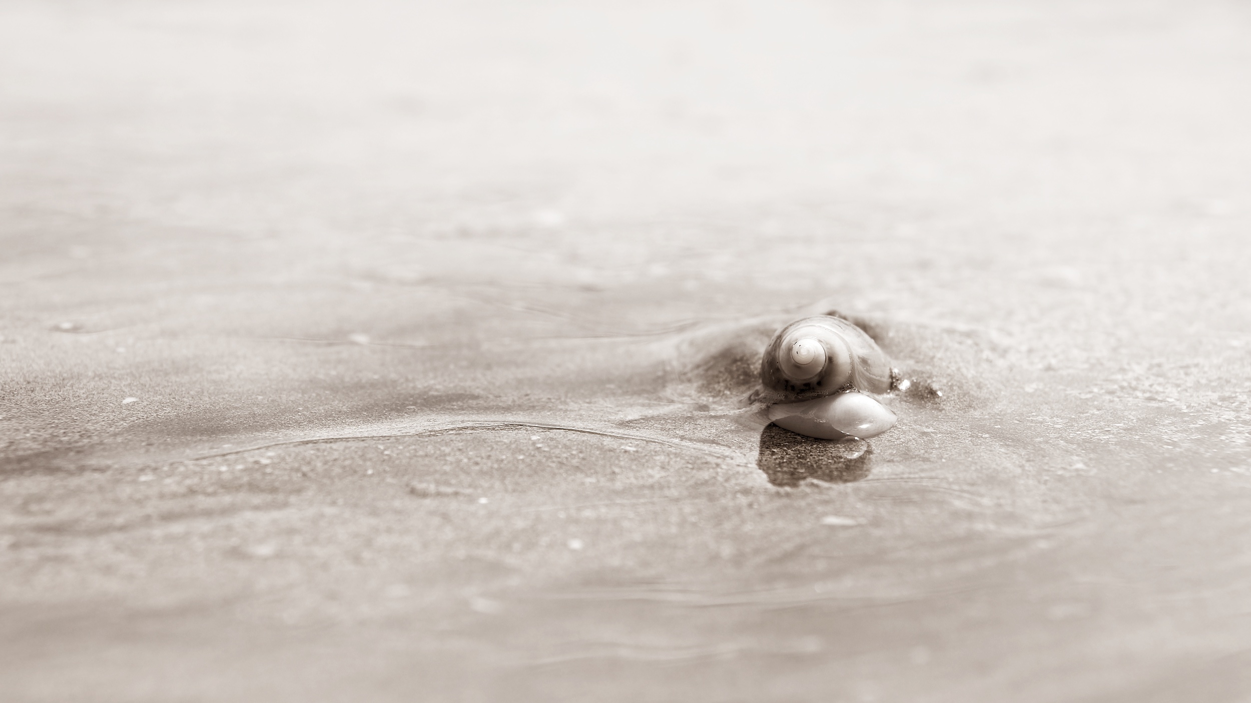 Submerged
