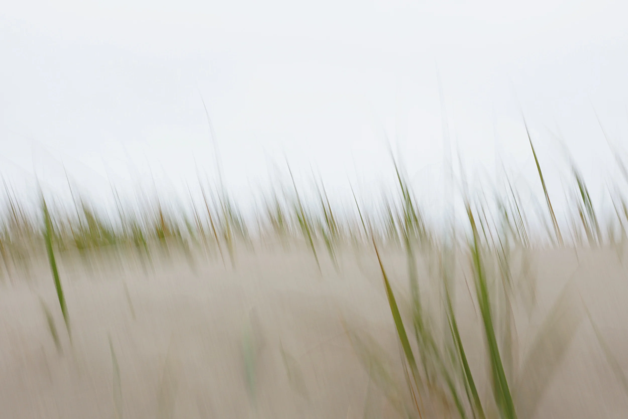 Wind