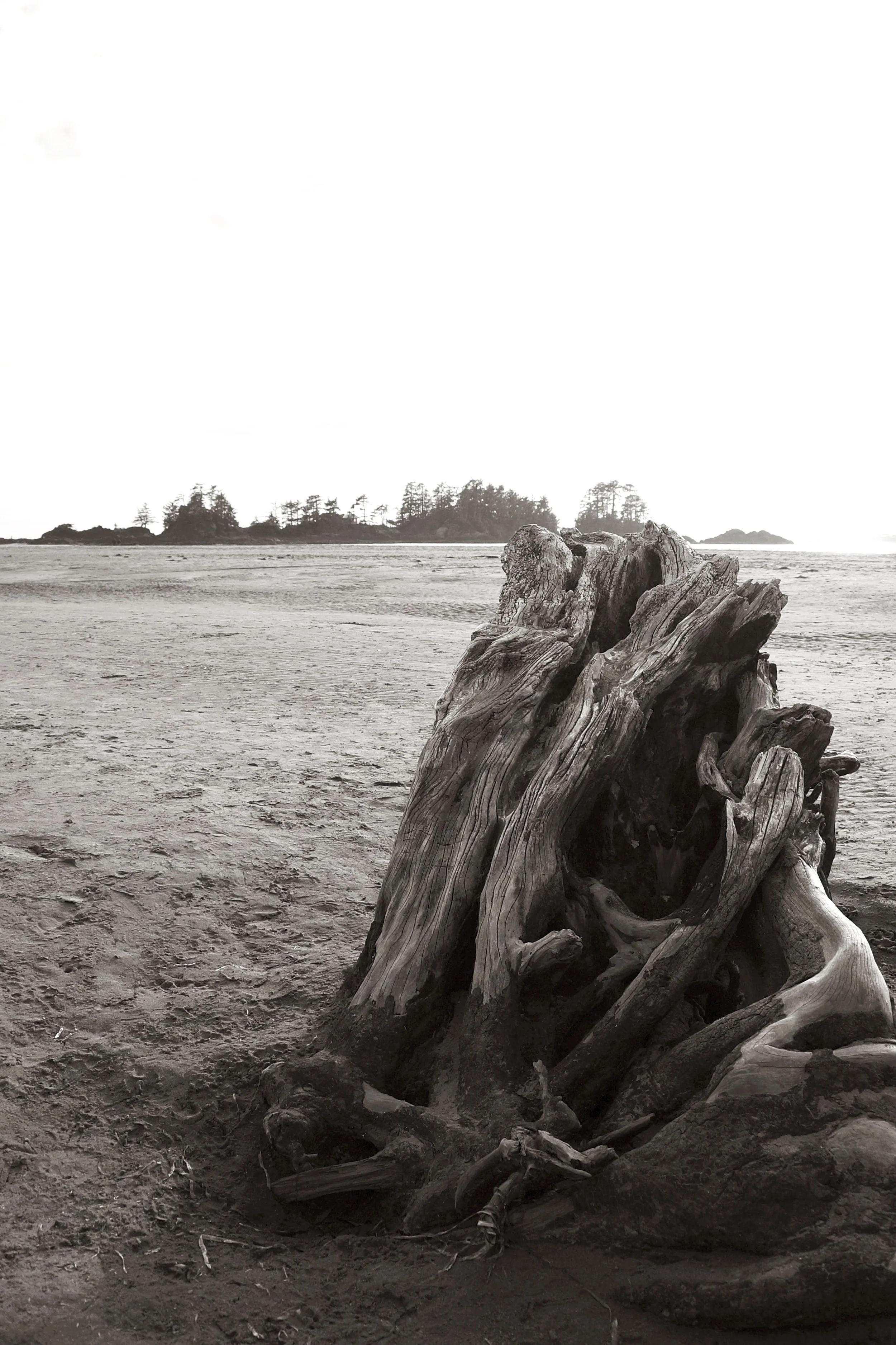 Stumped