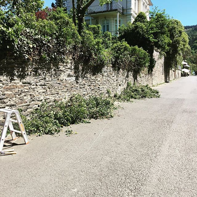 Hecken und Efeuschnitt deluxe, da die verkehrsberuhigte Dr. Ernst Spies Allee aktuell als Umgehungsstra&szlig;e genutzt wird aufgrund einer Bauma&szlig;nahmen in der Stadt. Wir informieren unsere G&auml;ste rechtzeitig, wie sie gut zu uns finden! #tr