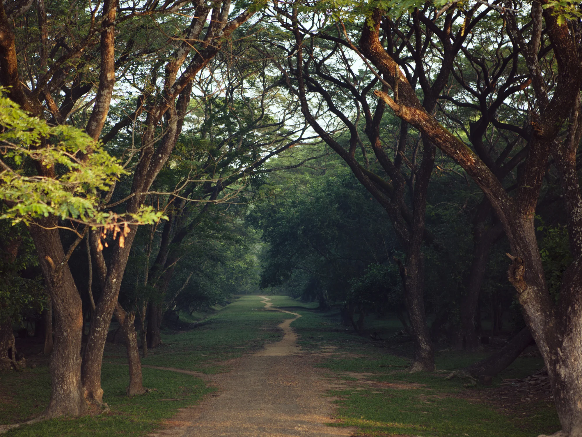 Travelshots035.jpg