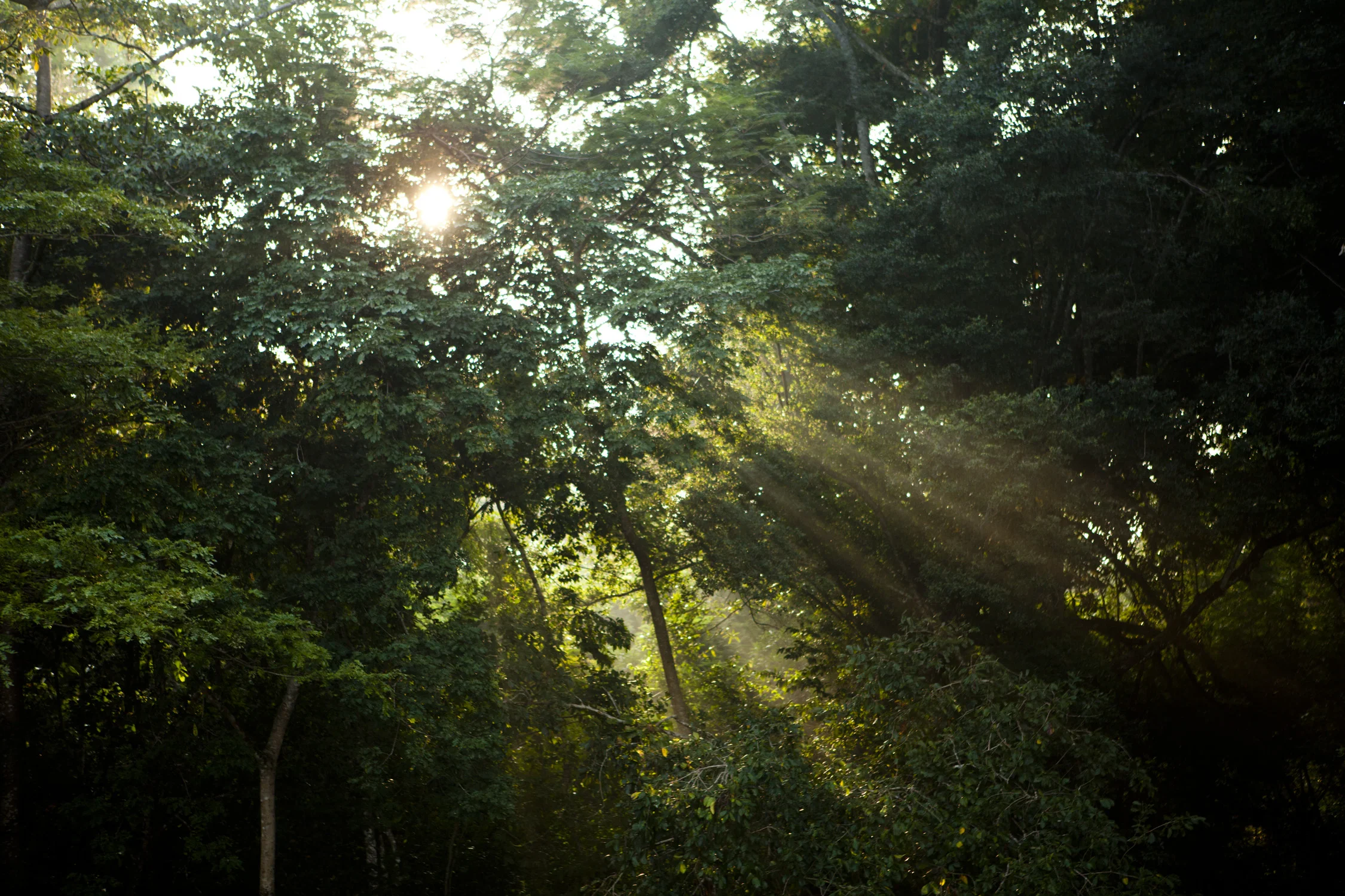 Travelshots037.jpg