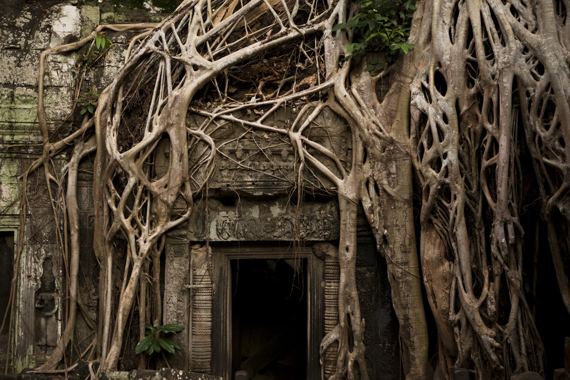 Travelshots039.jpg