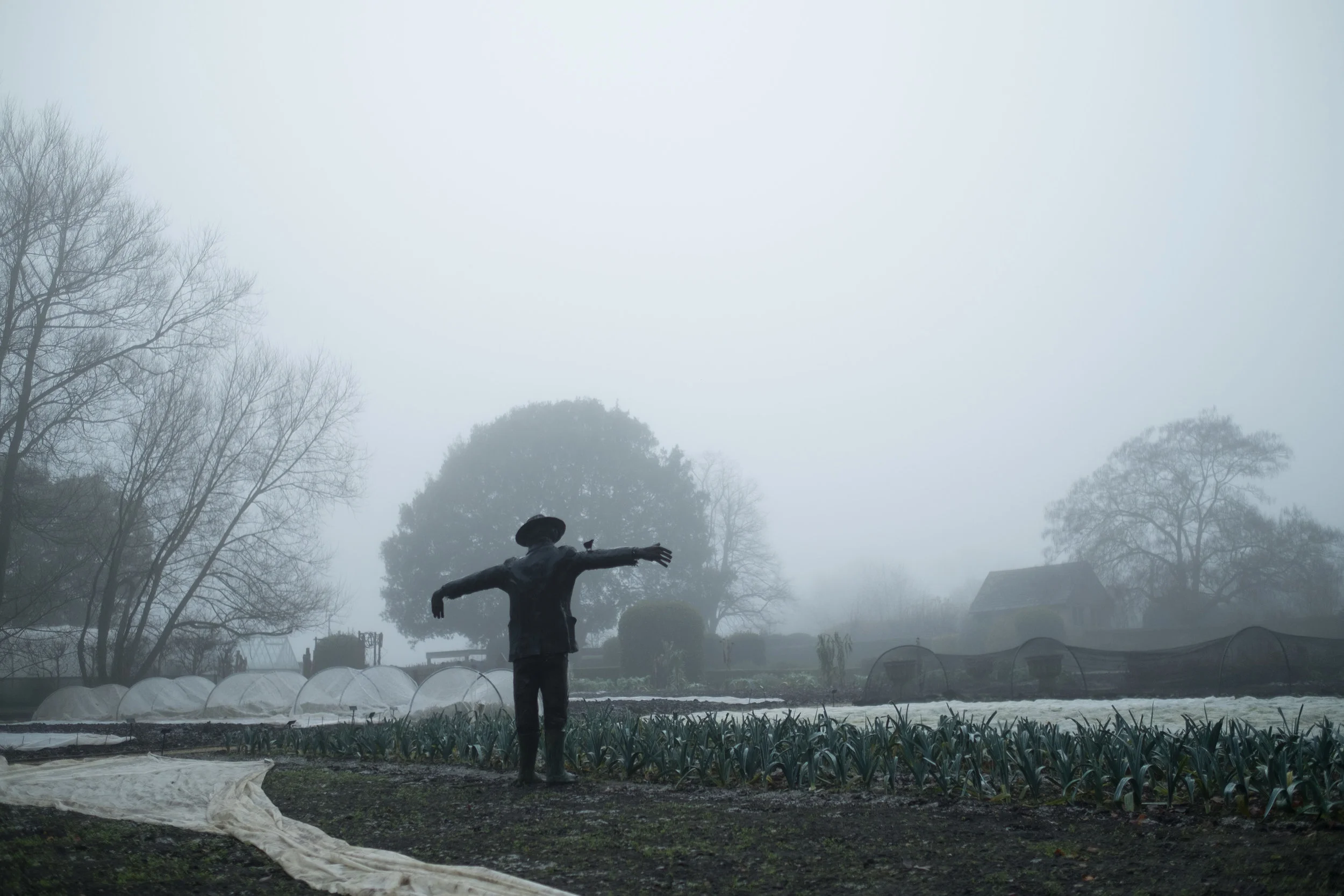 DSCF5900.jpg