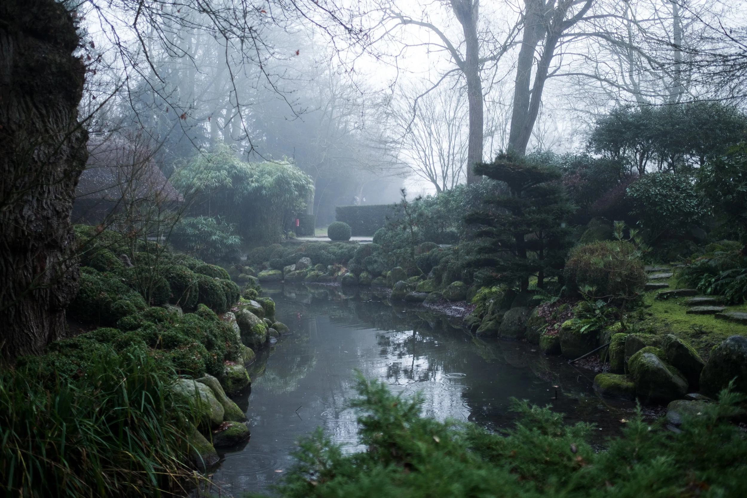 DSCF5887.jpg