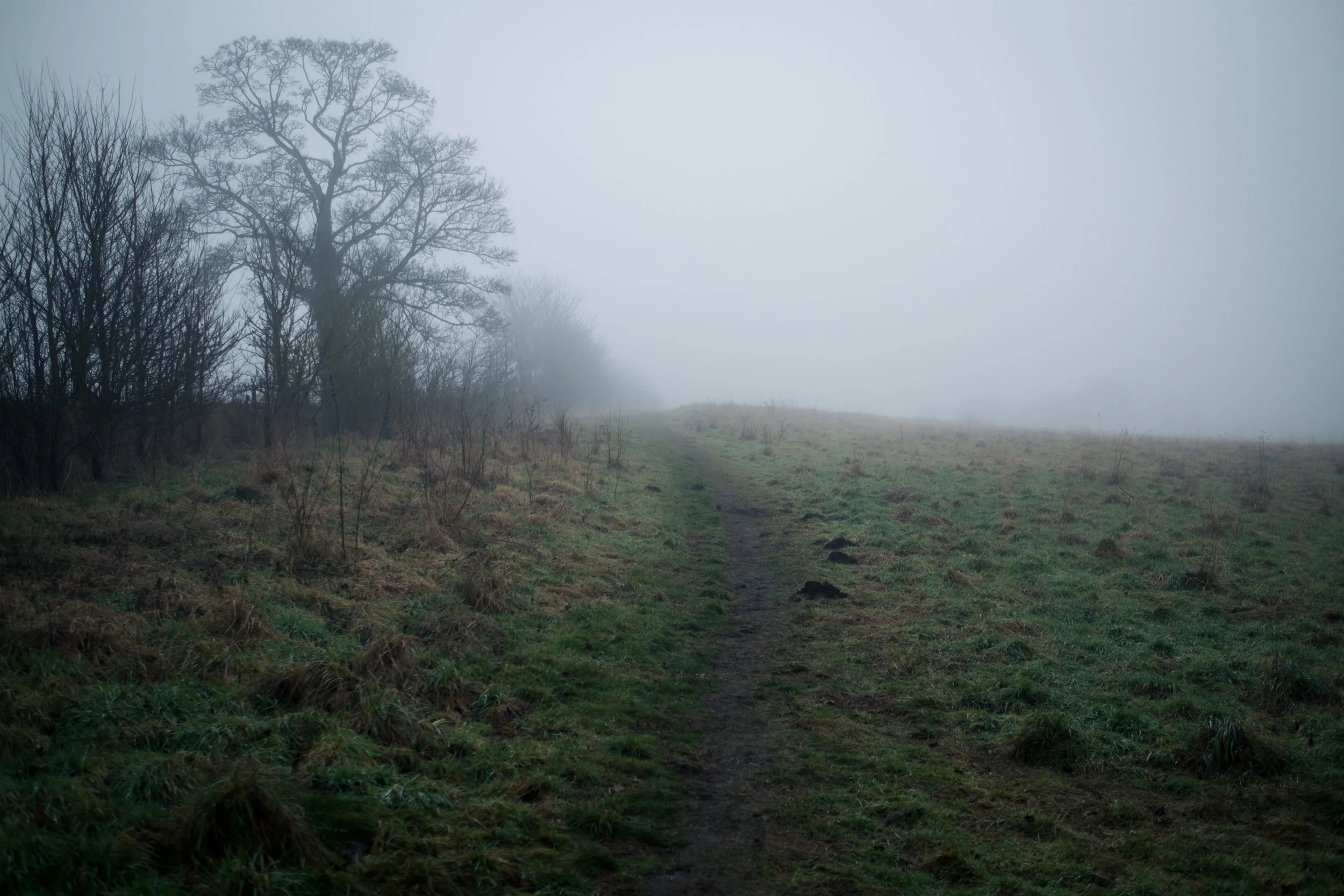 DSCF5915.jpg