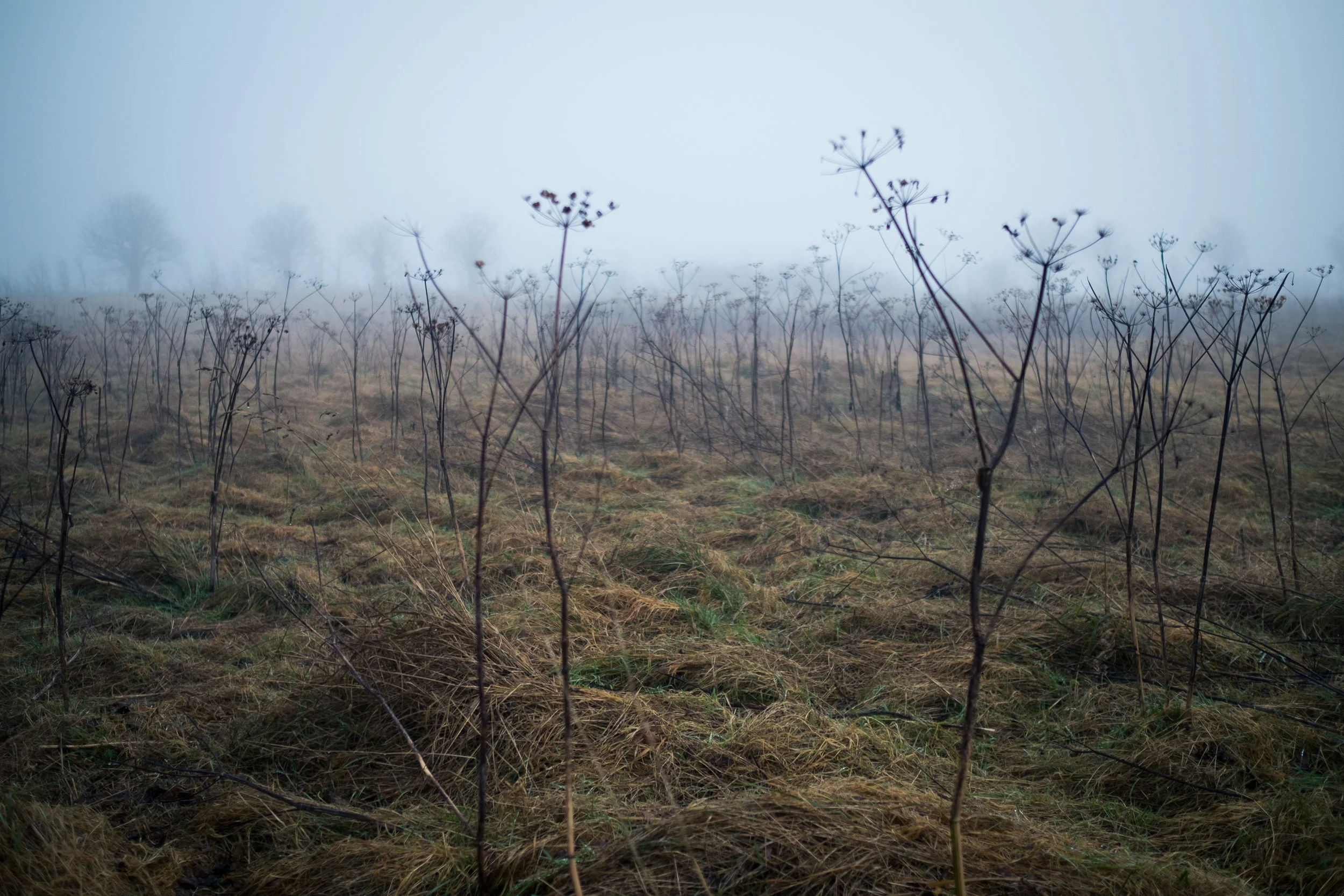 DSCF5908.jpg