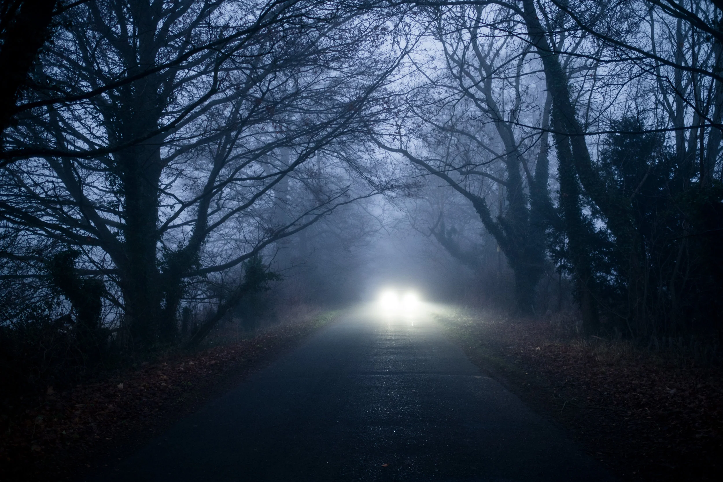 DSCF5960.jpg