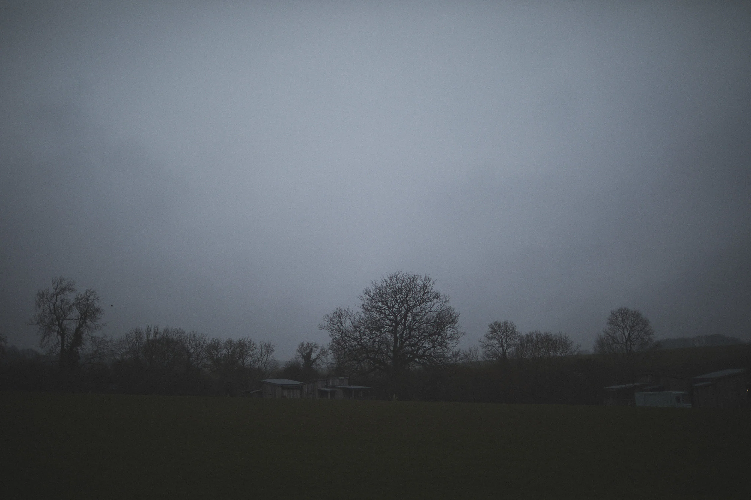 _N9A3356 1.jpg