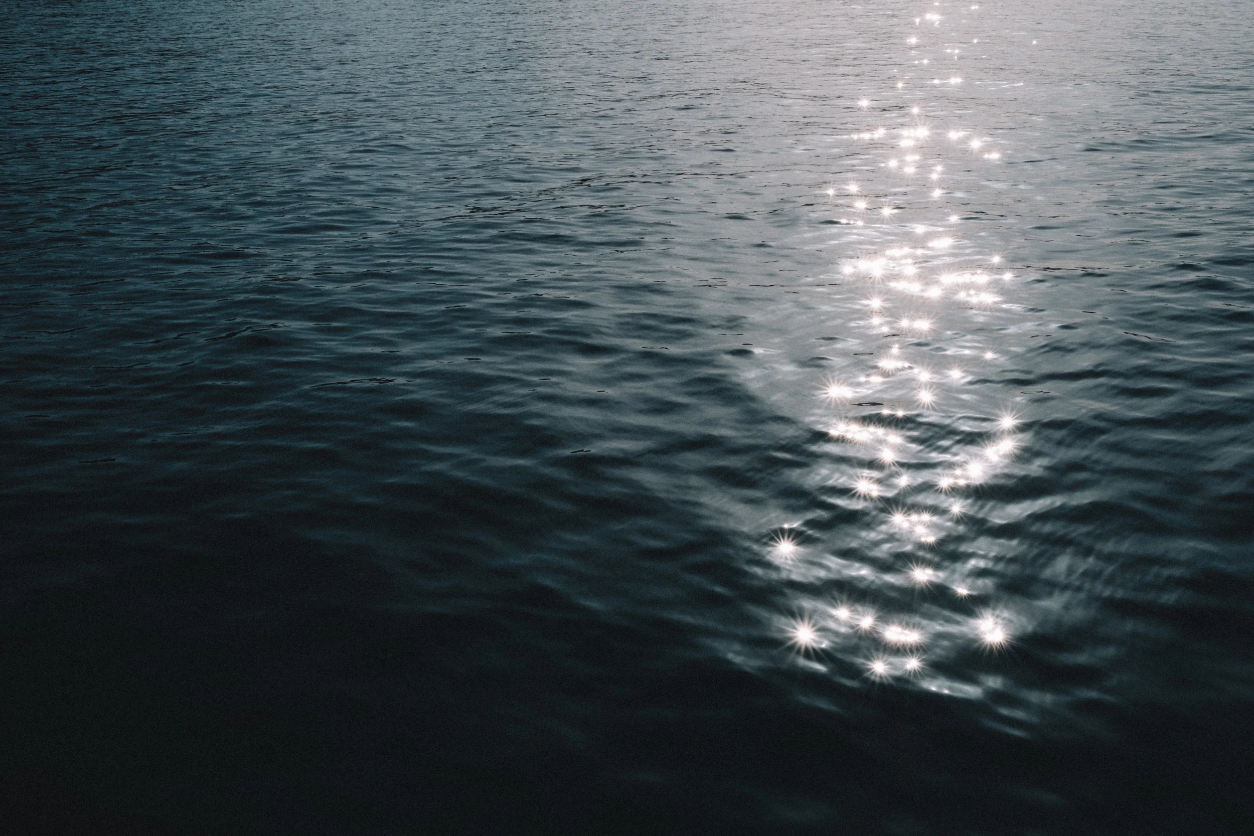 DSCF8615.jpg