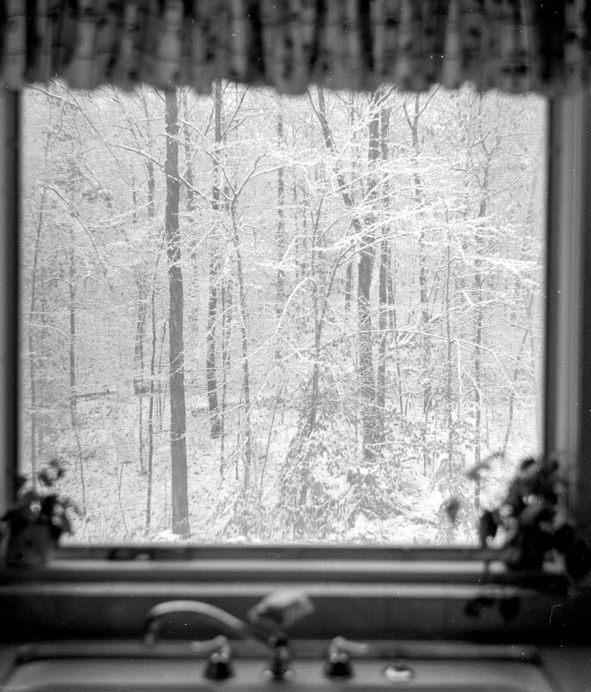 Childhood (5 of 27).jpg