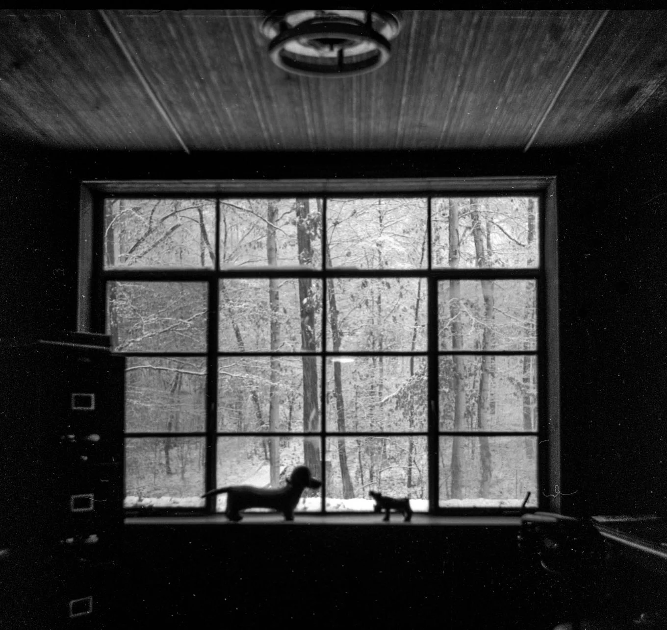 Childhood (15 of 27).jpg